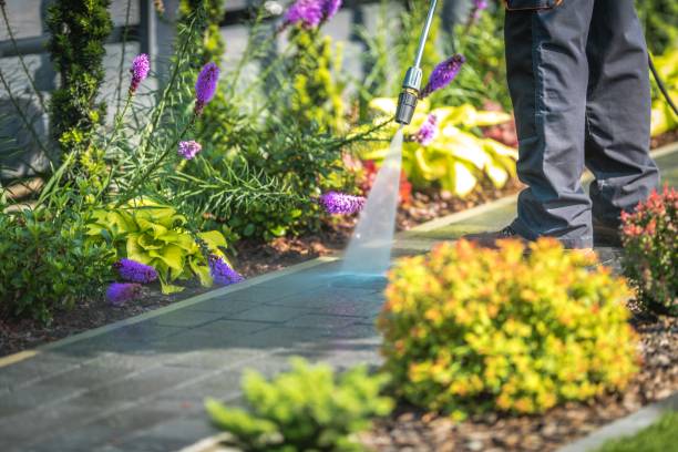Best Gutter Cleaning and Brightening in Cockrell Hill, TX